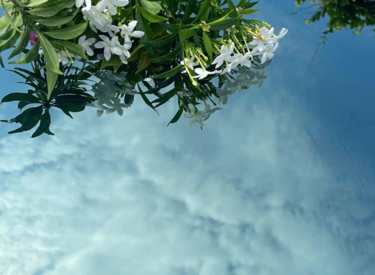 TẤM INOX GƯƠNG MÀU XANH NƯỚC BIỂN 8K|PVD Ocean Blue 8K