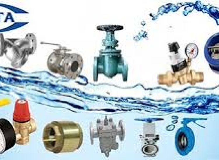 VAN  INOX ARV-100SE-1PC ARITA